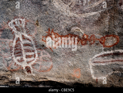 Intagliato in Buterrfly Tchitundo Hulo Hills, Angola Foto Stock