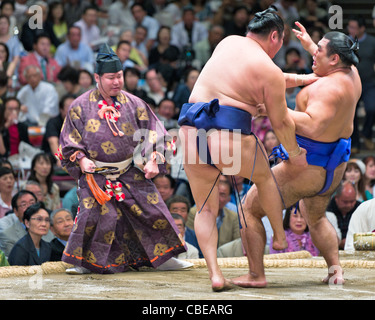 Un arbitro orologi due lottatori di sumo competere nel Tokyo Grandi Campionati di Sumo, Tokyo, Giappone Foto Stock