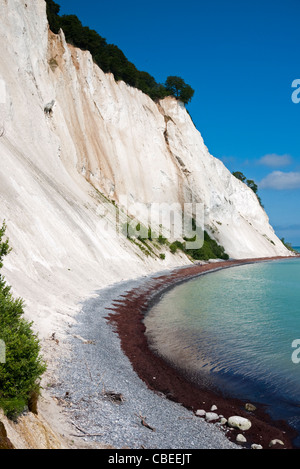 Mons Moens Møns Klint Limestone Coast cliff moen Danimarca Foto Stock