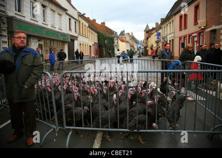 Licques Fete de la Dinde, Turchia festival a Licques vicino a Calais, Pas de Calais, Francia. Evento annuale ogni dicembre Foto Stock