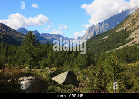 L'Italia, Alpi, Valle d'Aosta, Val Ferret, paesaggio, Foto Stock