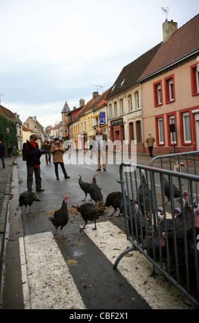 Licques Fete de la Dinde, Turchia festival a Licques vicino a Calais, Pas de Calais, Francia. Evento annuale ogni dicembre Foto Stock