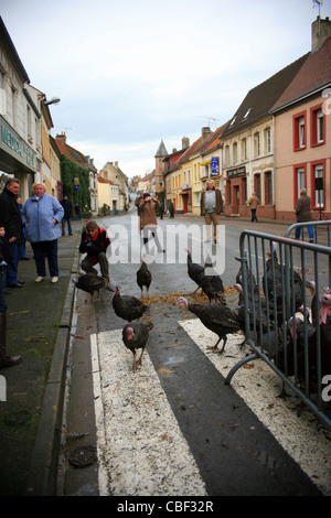 Licques Fete de la Dinde, Turchia festival a Licques vicino a Calais, Pas de Calais, Francia. Evento annuale ogni dicembre Foto Stock