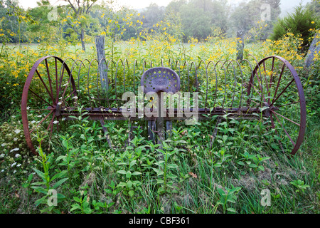 Un antico attrezzo agricolo, un rastrello, ricoperta da erbacce. Foto Stock