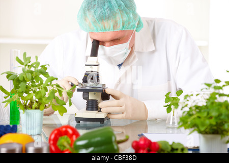 Ricercatore tenendo in mano un OGM vegetale in laboratorio Foto Stock