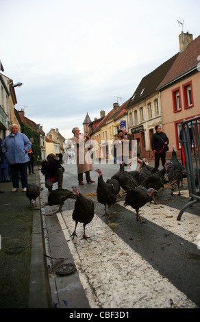 Licques Fete de la Dinde, Turchia festival a Licques vicino a Calais, Pas de Calais, Francia. Evento annuale ogni dicembre Foto Stock