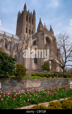 La facciata della Cattedrale Nazionale di Washington DC Foto Stock