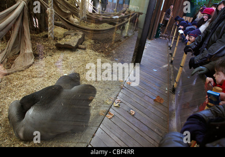 I visitatori osservano i gorilla presso lo Zoo di Londra, Inghilterra, Regno Unito Foto Stock