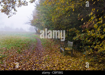 Una panchina nel parco in autunno con foglie cadute, tutto intorno e sul sedile. Foto Stock