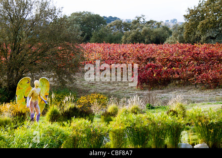 Giardino Cantina Beckmen a Los Olivos California Foto Stock