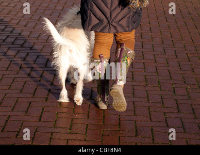 Una donna che indossa wellingtons di Fleetwood mentre si cammina un cane Foto Stock