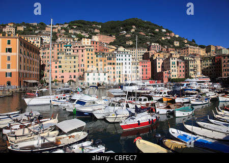 L'Italia, Liguria, Camogli, porto, barche, vista generale Foto Stock