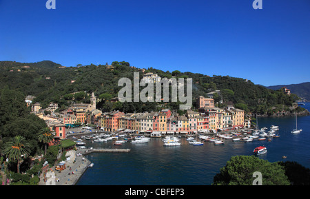 In Italia, la Liguria, Portofino, generale vista panoramica, Foto Stock