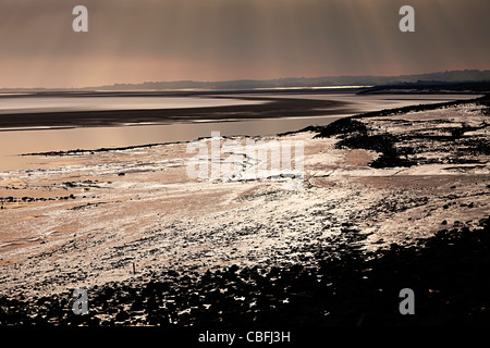 Mudbanks a bassa marea fuori Lydney porto sul fiume Severn Regno Unito Inghilterra Foto Stock