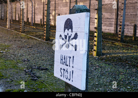 Recinto elettrico ad Auschwitz campo di concentramento nazista Foto Stock