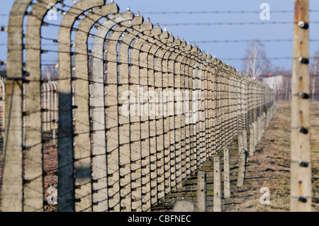 Recinti elettrici ad Auschwitz II Berkenau WW2 campo di concentramento nazista Foto Stock