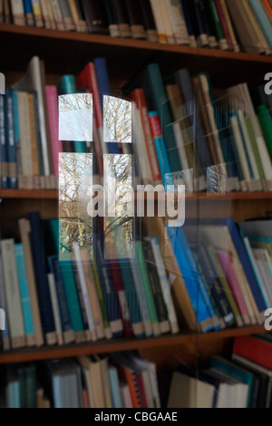 Righe di libri dietro il vetro che riflette una finestra Foto Stock