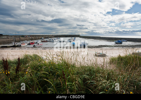 Balintore Harbour, Ross & Cromerty, Scozia Foto Stock