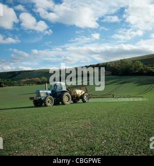 Spruzzando la pianticella di grano raccolto in autunno, Berkshire Foto Stock