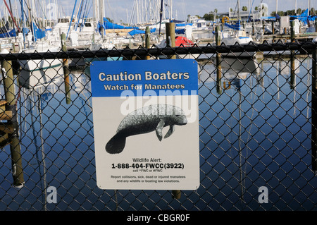 Il simbolo di attenzione per i barcaioli guarda per i Lamantini a St Petersburg Florida USA Foto Stock