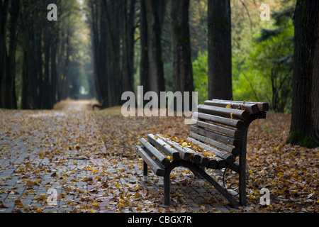 Lonely panca in legno in autunno park sotto le foglie Foto Stock