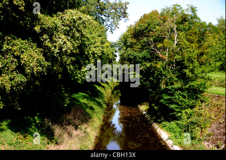 Canale Nivernais,vicino Baye,Morvan parco nazionale,Nievre,Borgogna,Francia Foto Stock