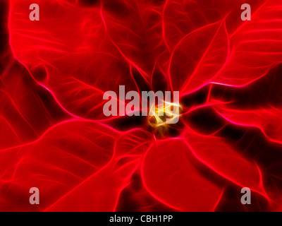 Opere d'arte astratte di Poinsettia - rosso fiore di Natale lascia Foto Stock