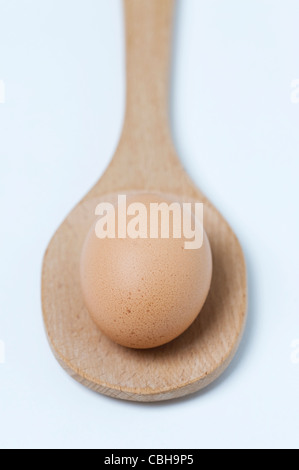 Un unico marrone uova di galline su un cucchiaio di legno contro uno sfondo bianco Foto Stock