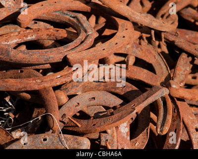 Ferri di cavallo arrugginito nel file. Museo della montagna ad ovest in Montrose, Colorado. Foto Stock