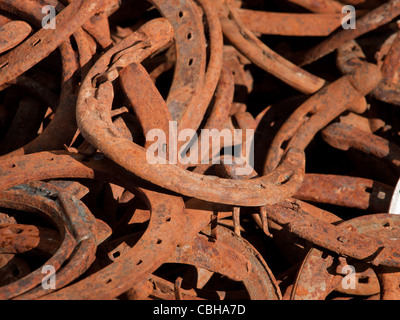 Ferri di cavallo arrugginito nel file. Museo della montagna ad ovest in Montrose, Colorado. Foto Stock