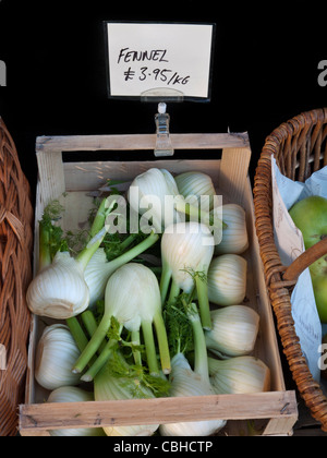 Finocchio fresco sul display per la vendita in inglese sul mercato del paese Foto Stock