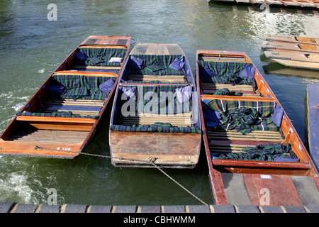 Sterline tradizionale per il noleggio lungo il fiume Cam, Cambridge, Inghilterra, Regno Unito Foto Stock