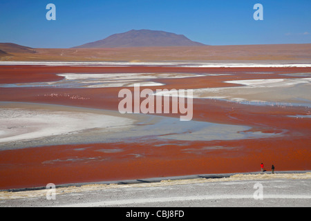 I turisti in cerca di fenicotteri rovistando nel sale Lago Laguna Colorada sull'Altiplano, Bolivia Foto Stock