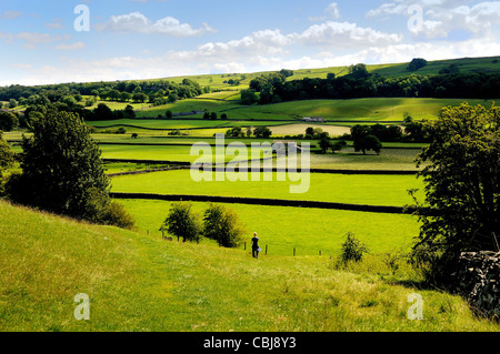 Lungo la valle del fiume vicino Askrigg Wensleydale ,Yorkshire Dales Foto Stock