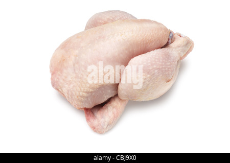 Piccoli di pollo o di Poussin - Giovanni Gollop Foto Stock