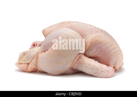 Piccoli di pollo o di Poussin - Giovanni Gollop Foto Stock