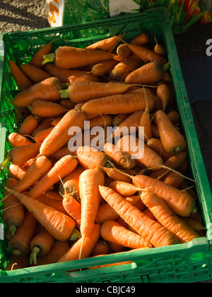 Le carote in un mercato all'aperto, Carouge, Ginevra, Svizzera Foto Stock