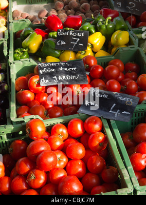 Pomodori e peperoni, Mercato Agricolo, Carouge, Ginevra, Svizzera Foto Stock