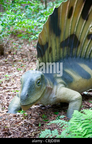 Dinosauro con grande pinna sul retro Foto Stock