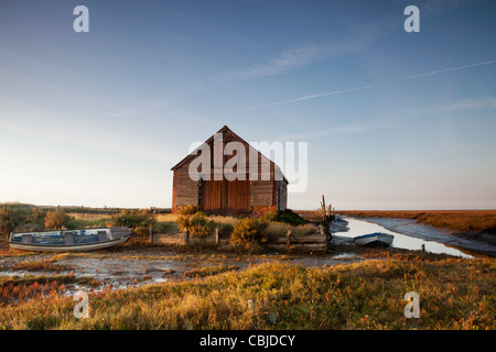 Immagine presa a Thorndon in Norfolk. Un luogo remoto dove quando la marea sale si trasforma il landsacpe ad una totalmente delta Foto Stock