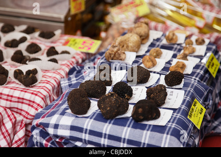 Tartufo nero, tartufi bianchi, mercato, Piemonte, Italia Foto Stock