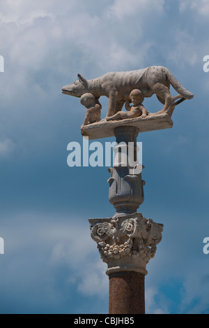 Una colonna di pietra di fronte alla cattedrale di Siena, Italia di una lupa lattanti Romolo e Remo. Foto Stock