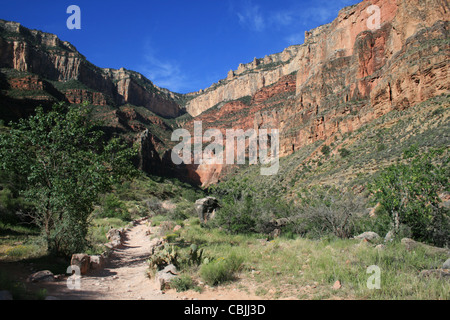 Visualizzare fino al Margine Sud del Grand Canyon da vicino Giardini Indiano lungo il Bright Angel Trail nel Grand Canyon Foto Stock