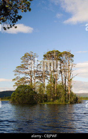 Loch Mallachie Foto Stock