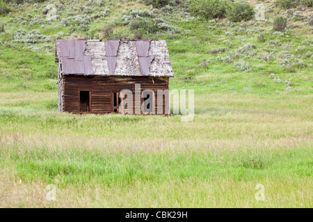 Old Homestead, nei pressi di Milner, Colorado Foto Stock