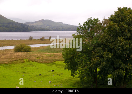 Derwent Water Lake District Foto Stock