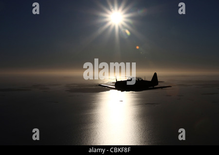 Halland, Svezia - North American T-6 texano/Harvard trainer warbird in svedese Air Force colori. Foto Stock