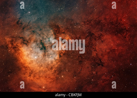 Wf vista del giovane stella-complesso di formatura NGC 7822 nella costellazione di Cefeo. Foto Stock