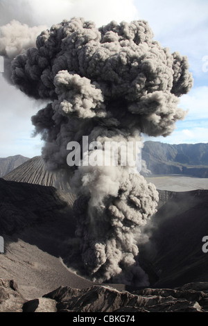 Marzo 21, 2011 - eruzione della nube di cenere dal cratere del Monte Bromo Tengger Caldera, Java, Indonesia. Foto Stock