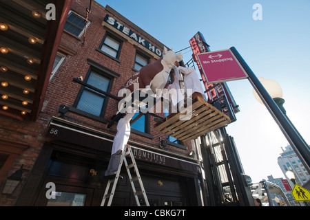 Annabelle si prepara per il suo viaggio dalla Old Homestead Steakhouse di New York a Las Vegas Foto Stock